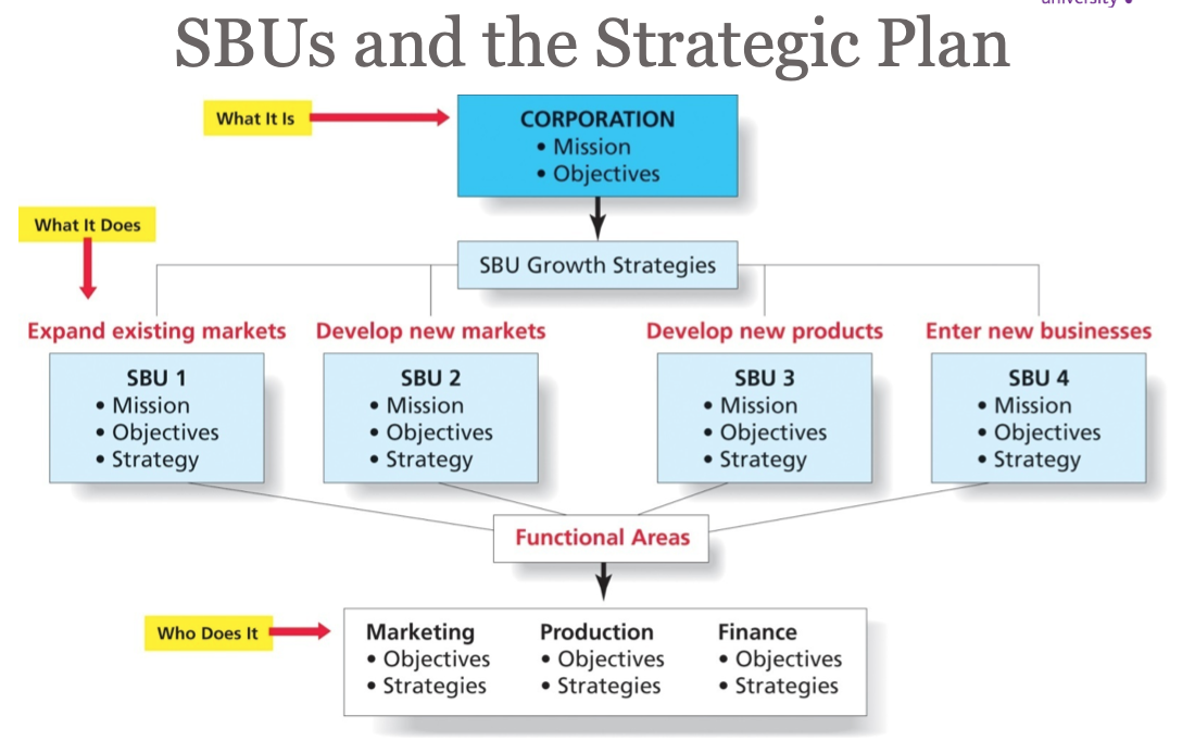 strategic-business-unit-sbu-nepedup